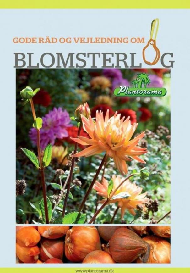 Blomsterløg . Plantorama (2020-01-31-2020-01-31)