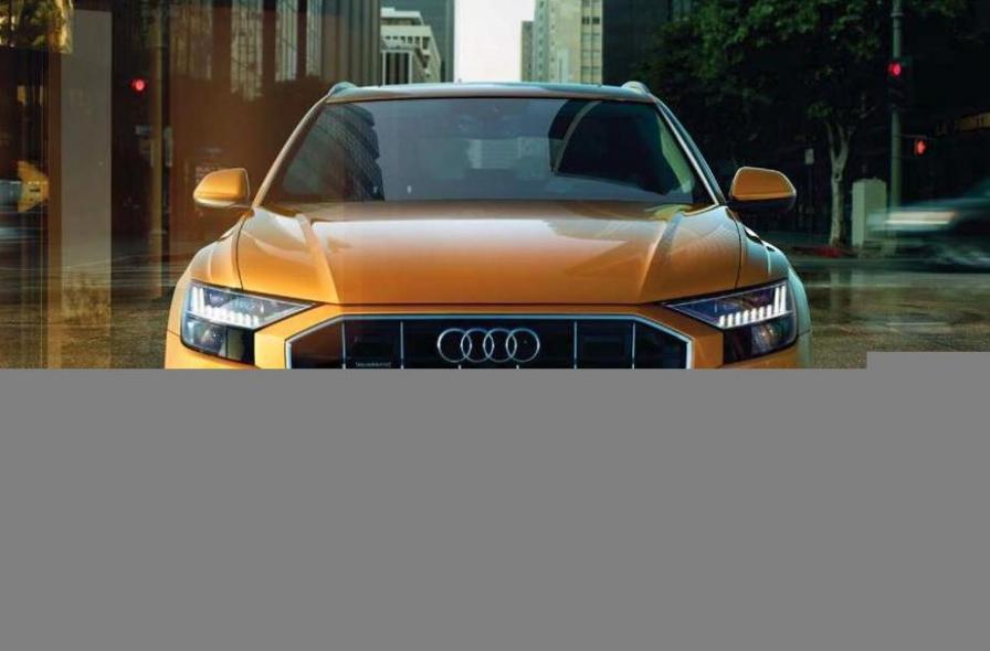 Q8 . Audi (2020-12-31-2020-12-31)