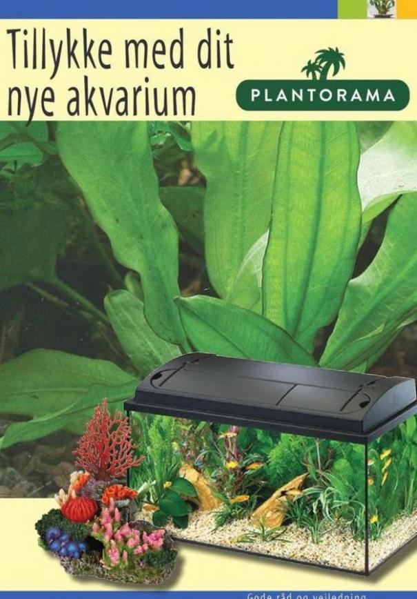 Tillykke med dit nye akvarium . Plantorama (2020-01-31-2020-01-31)