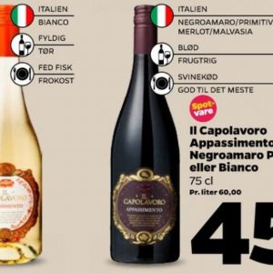 Italiensk hvidvin Netto Alle Tilbudsavis
