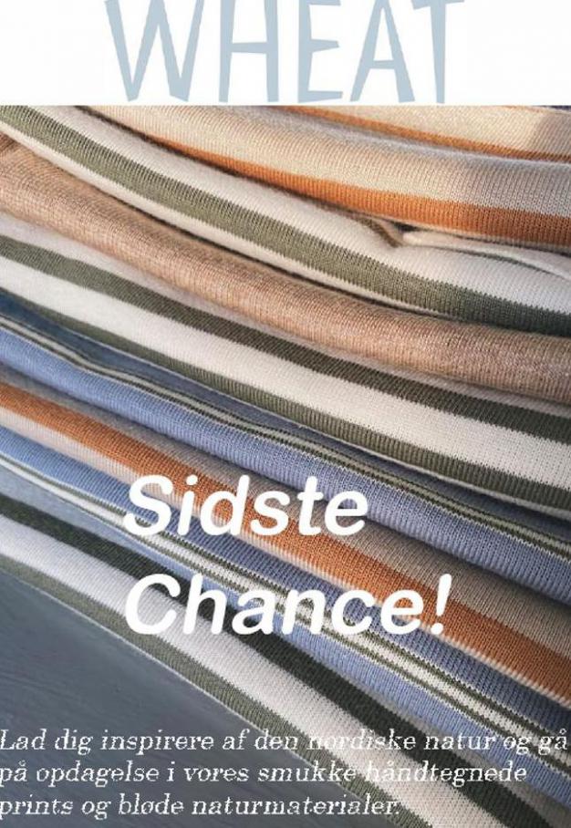 Sidste chance! . Wheat (2021-02-28-2021-02-28)