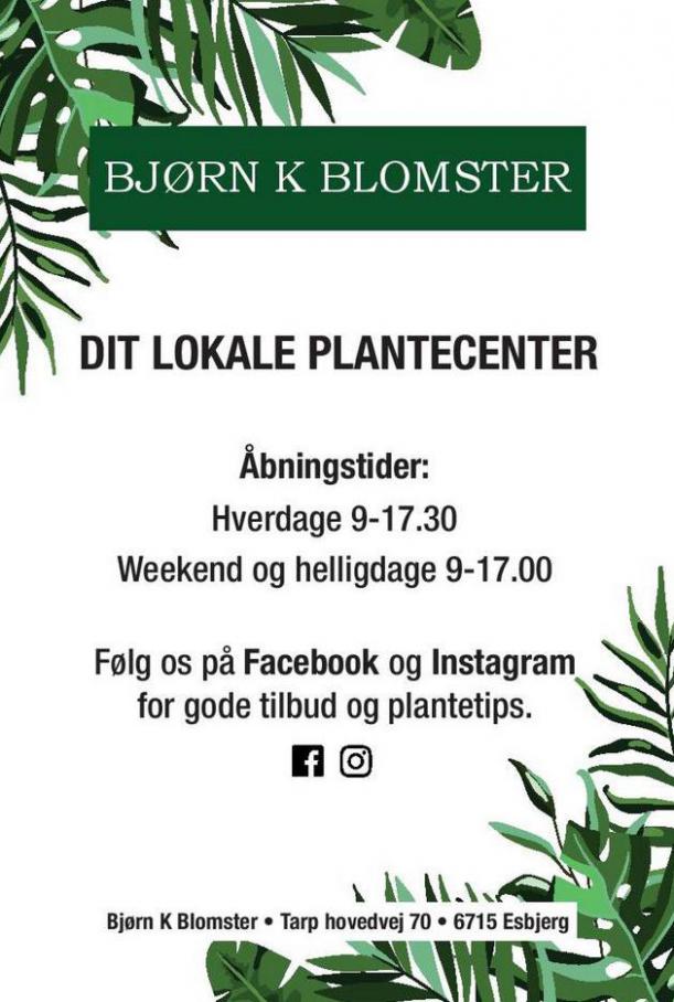 Dit lokale plantecenter . Bjørn K Blomster (2021-04-30-2021-04-30)