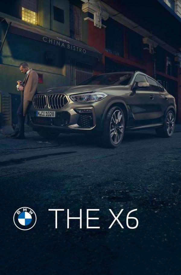 BMW X6 . BMW (2021-12-31-2021-12-31)