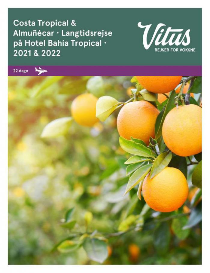Langtidsrejse på Hotel Bahía Tropical 2021 & 2022. Vitus Resjer (2022-01-31-2022-01-31)