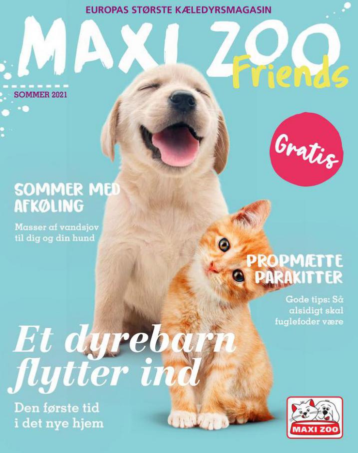 Sommer 2021 . Maxi Zoo (2021-06-30-2021-06-30)