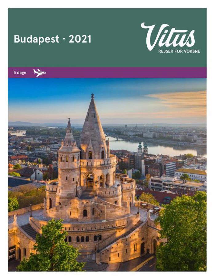 Budapest 2021. Vitus Resjer (2021-12-31-2021-12-31)