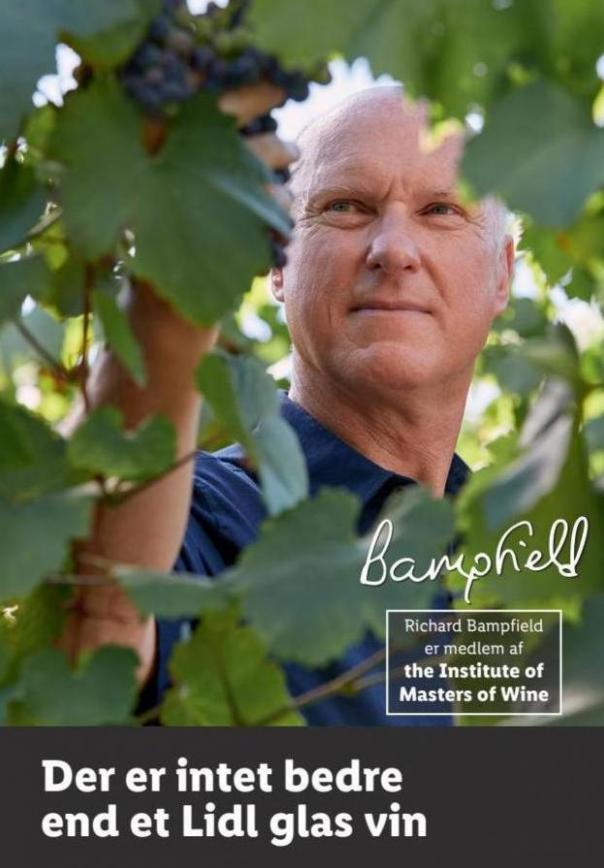 Lidl Bampfield - Master of Wine. Lidl (2023-12-31-2023-12-31)