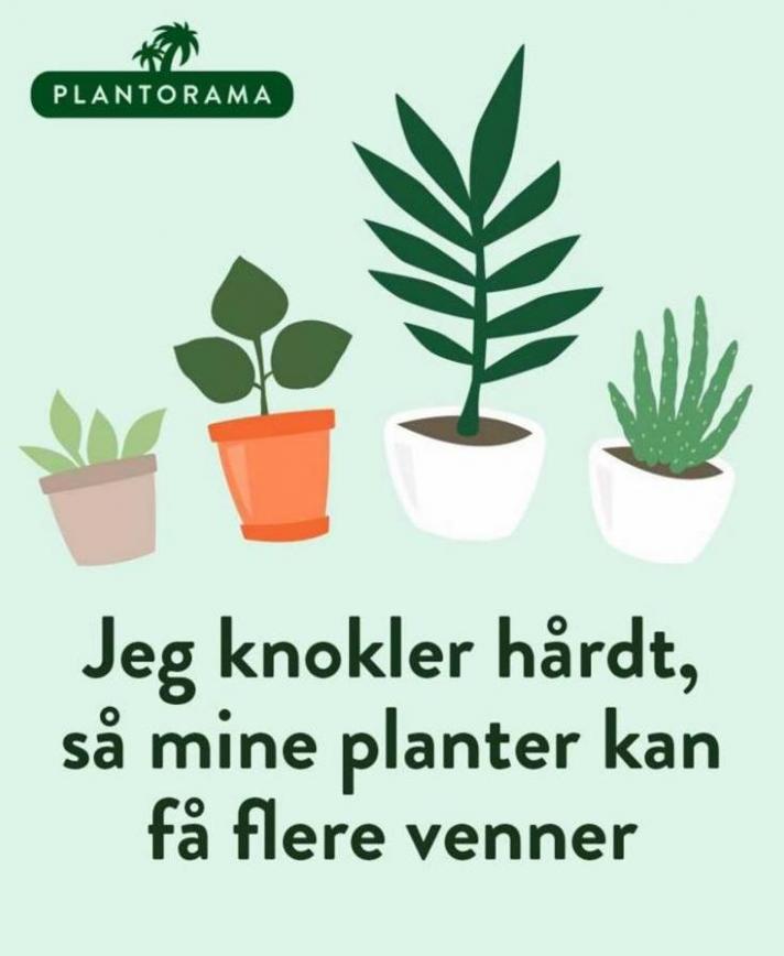 Promos Plantorama. Plantorama (2023-09-27-2023-09-27)