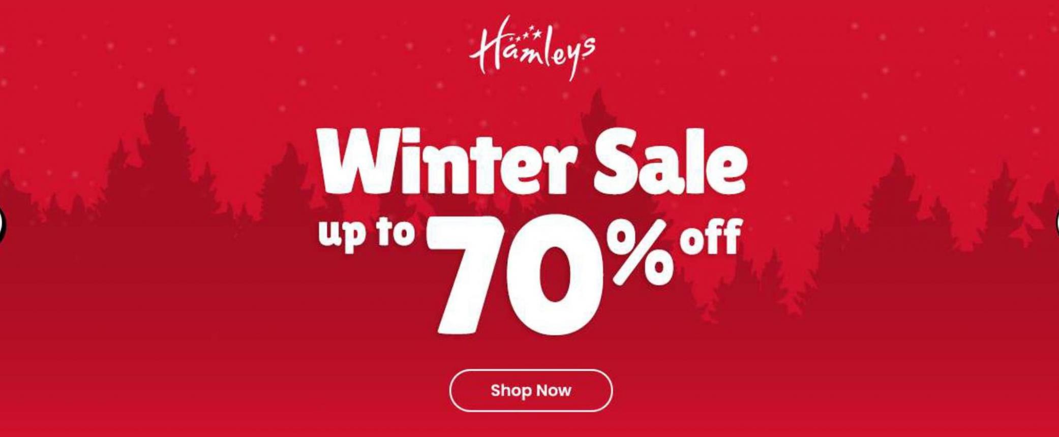 Winter Sale. Hamleys (2023-12-31-2023-12-31)