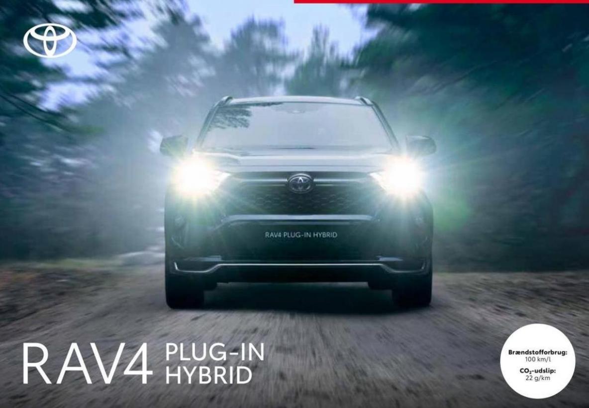 Toyota Rav4 Plug-In Hybrid. Toyota (2024-10-31-2024-10-31)